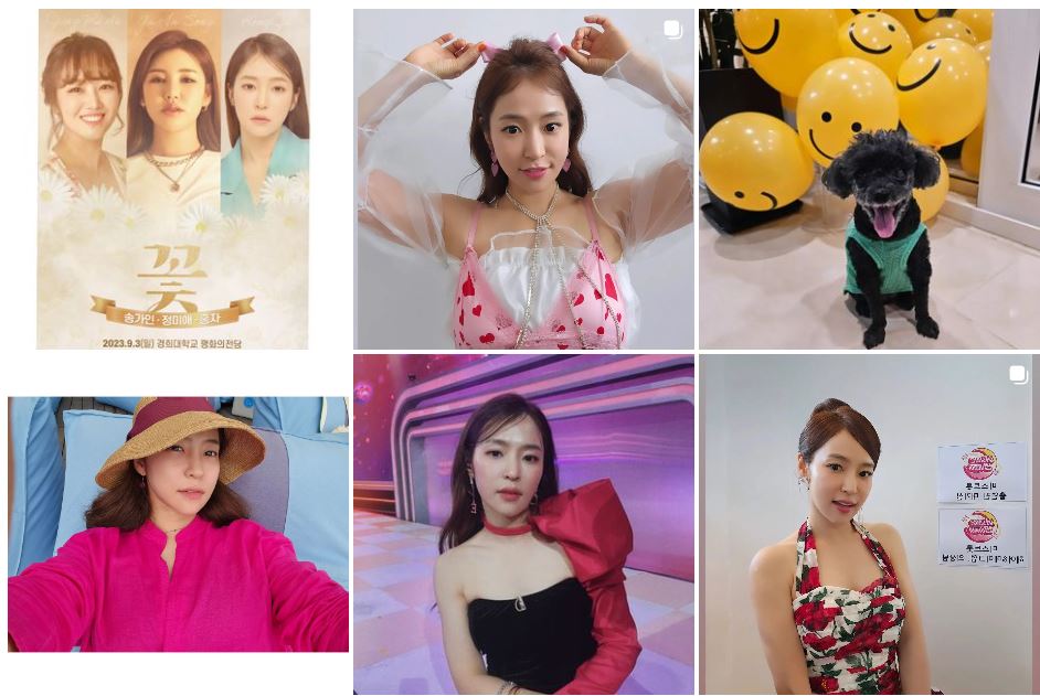 홍자 인스타그램