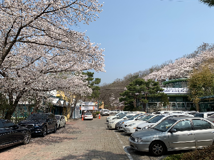 갈멜산 기도원 예약