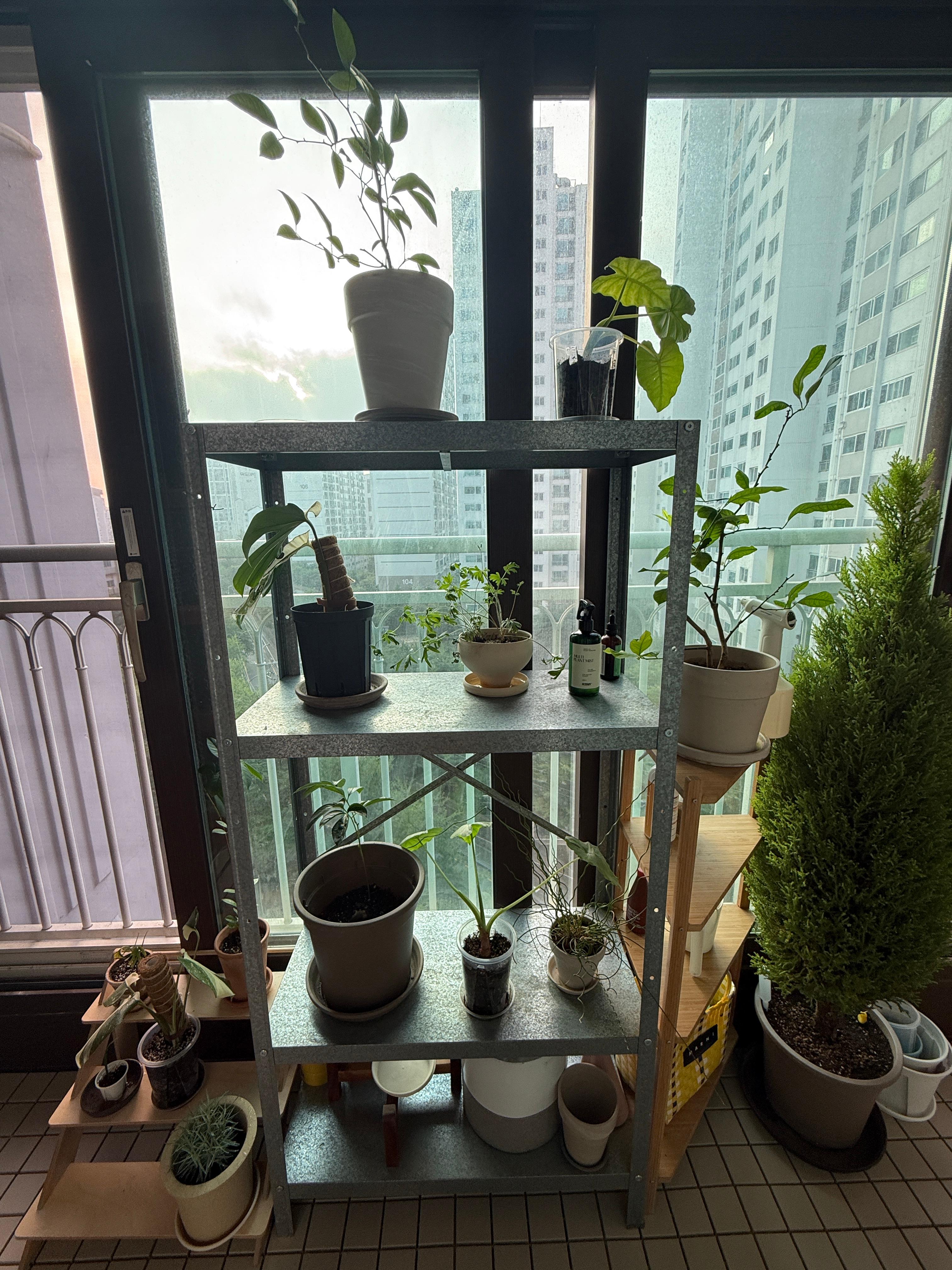 우리 집 베란다 인테리어 꾸미기 팁 5가지 &ndash; 작지만 확실한 힐링 공간 만들기