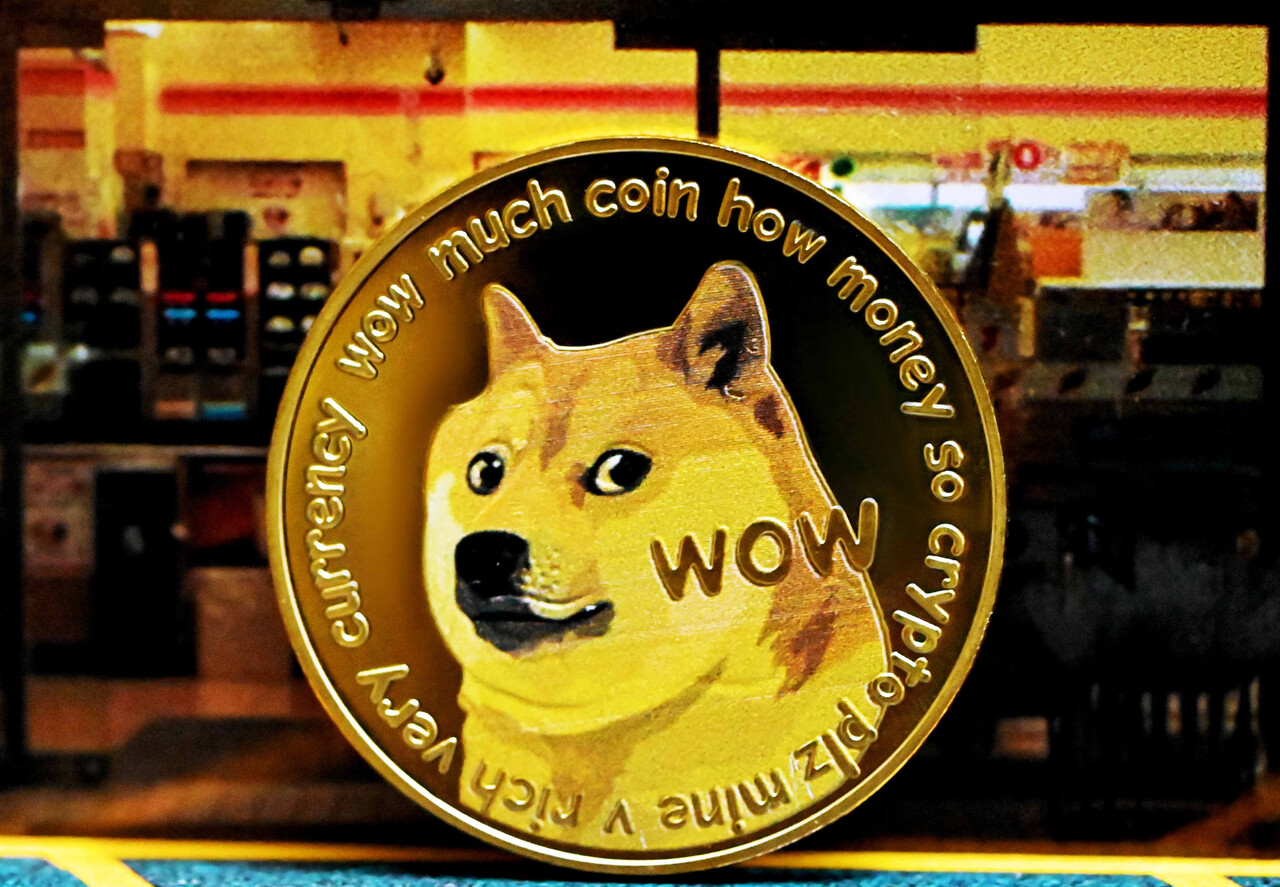 도지(doge)코인 전망 일론머스크