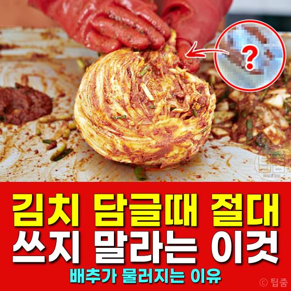 김장 김치 맛있게 담는 법,배추가 물러지는 이유