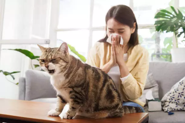 환절기 알레르기 비염 비염약