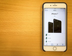 청년월세 지원 신청방법