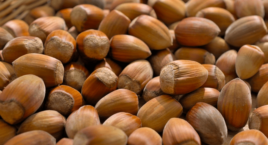 헤이즐넛 효능에서 헤이즐넛이 산더미 처럼 쌓여 있다