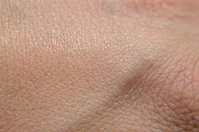 콜레스테롤 낮추는 음식 10가지 3