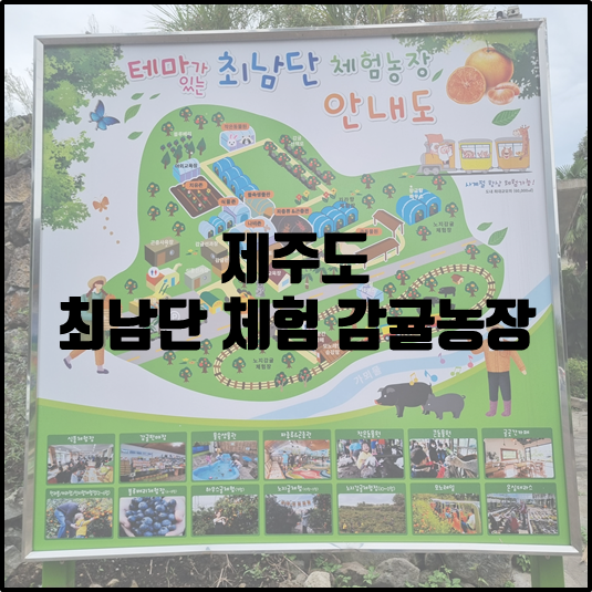 최남단 체험 감귤농장