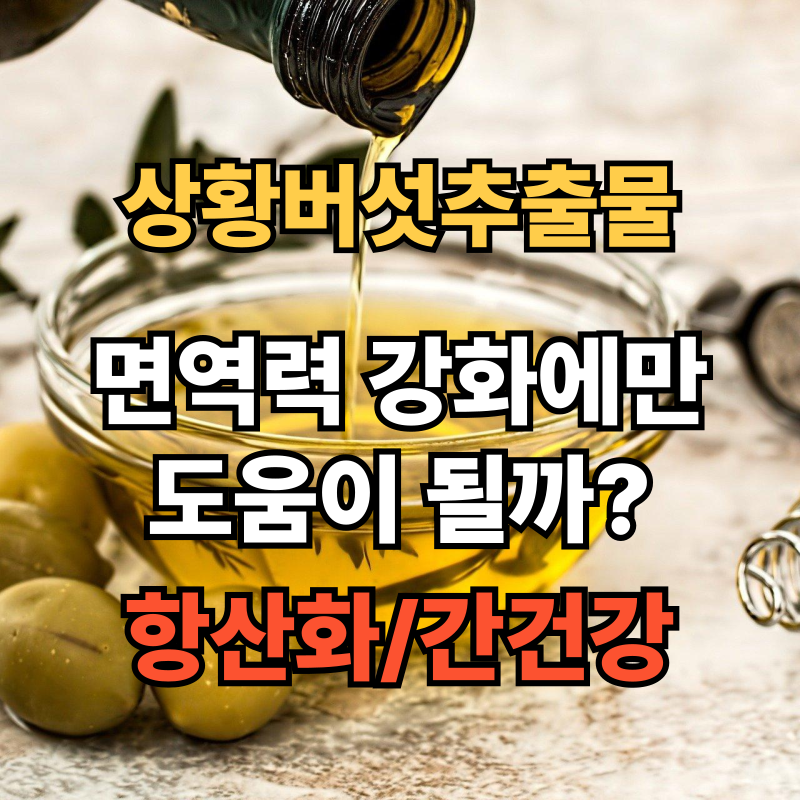 🍄 상황버섯추출물, 자연에서 온 건강 지킴이! 효능 및 부작용 / 복용팁