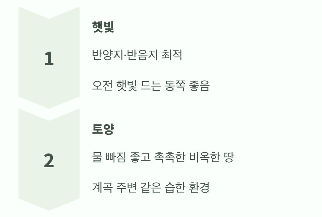 황금빛 단풍을 위한 최고의 자리