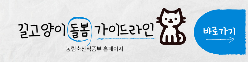 길고양이 돌봄 가이드라인