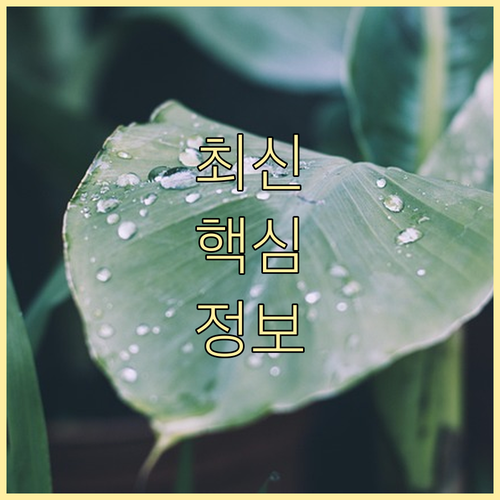 ESTA 수수료 21달러 변동 없음!..