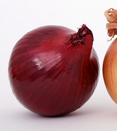 양파 효능 사진28