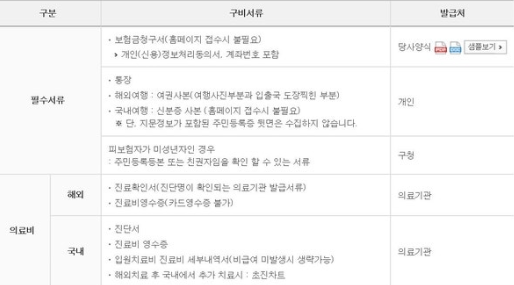 현대해상 여행자 보험 후기 및 보험료(DB, 삼성화재, 롯데, AXA, 캐롯 비교)