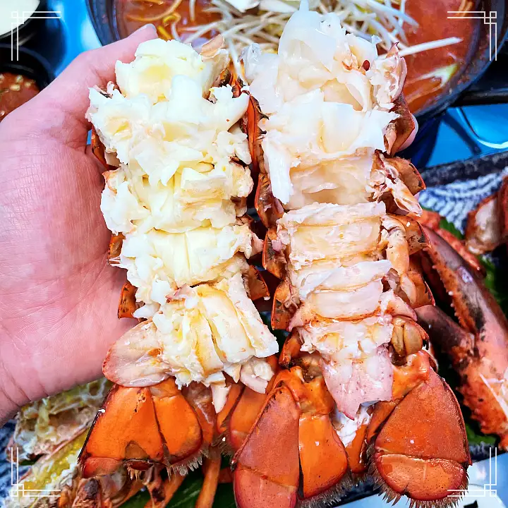 진심 가득 건강 담은 맛 구로 디지털 단지역 구디단 맛집 추천 생방송투데이 활어회 전문 제철 해산물 한 상 바다를 통째로 옮겼다 오늘방송 맛의 승부사