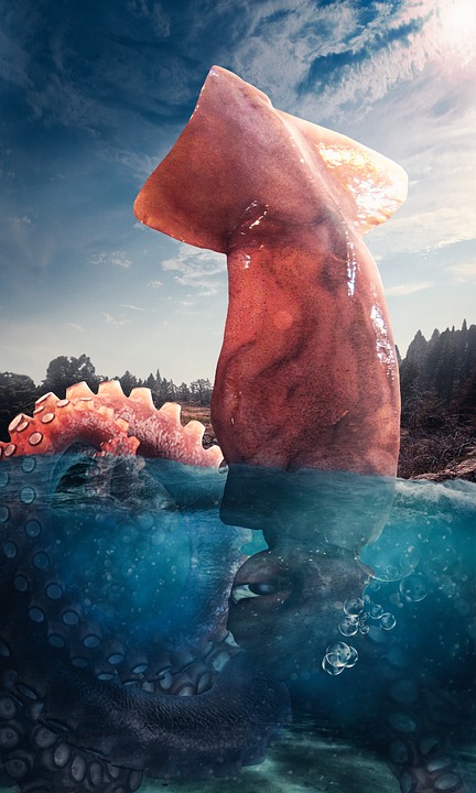 2025 대한민국 수산대전 상품권 최대 50% 할인받기, 쿠폰 정보 온누리상품권 제로페이 완벽 정리