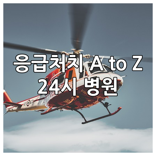 반려동물 응급처치 A to Z: 증상