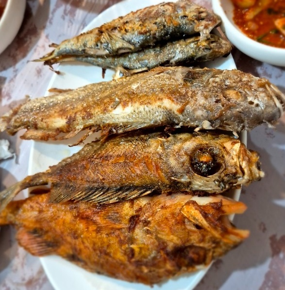 사천-삼천포항-용궁포차촌-뽈락구이-해뜨는집