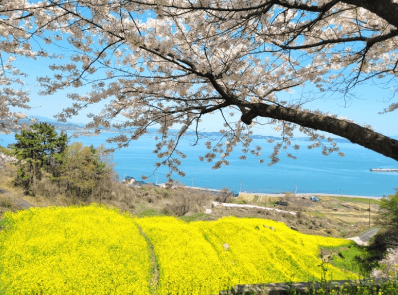 경남-다랭이마을