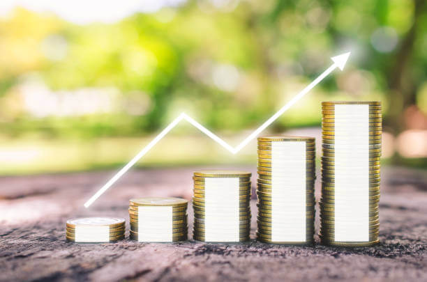 신용 점수 높이는 방법