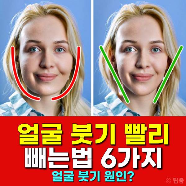 얼굴붓기 빨리 빼는법,얼굴붓기빼는법,얼굴붓기빼는 지압