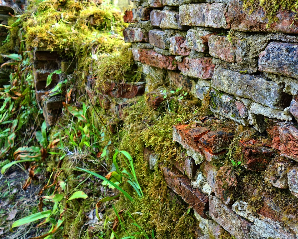 행잉 플랜트 인테리어