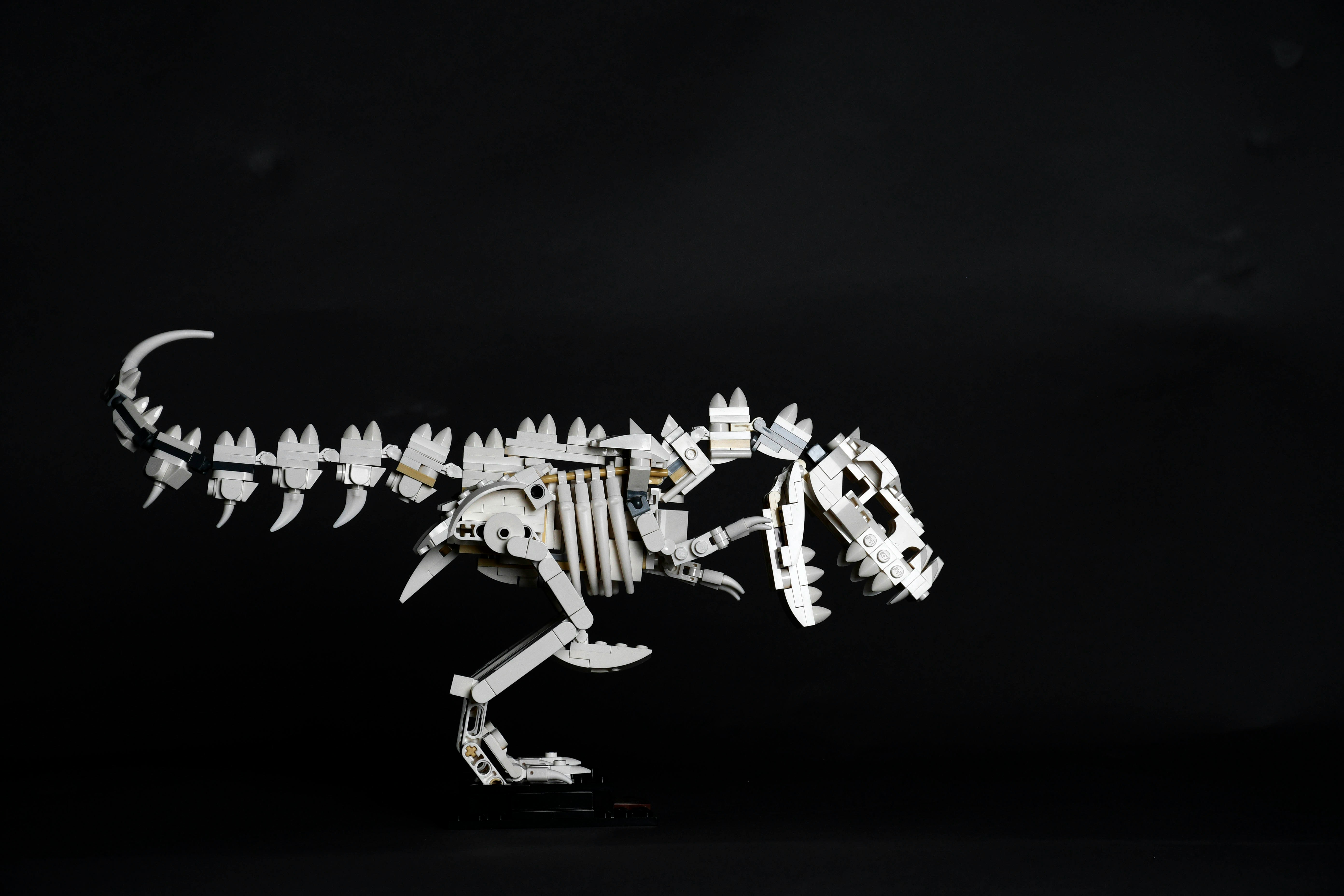 공룡이 죽은 이유: 주요 가설 3가지