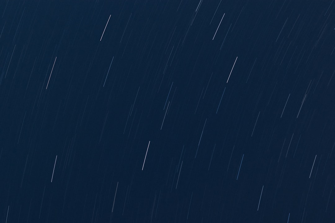 Forecast