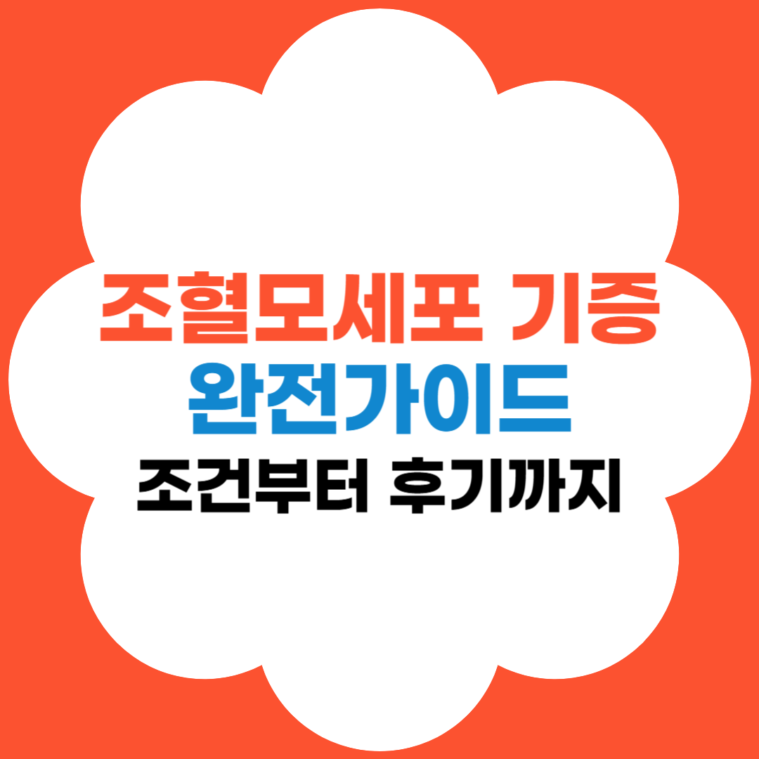 조혈모세포 완벽가이드 썸네일 문구