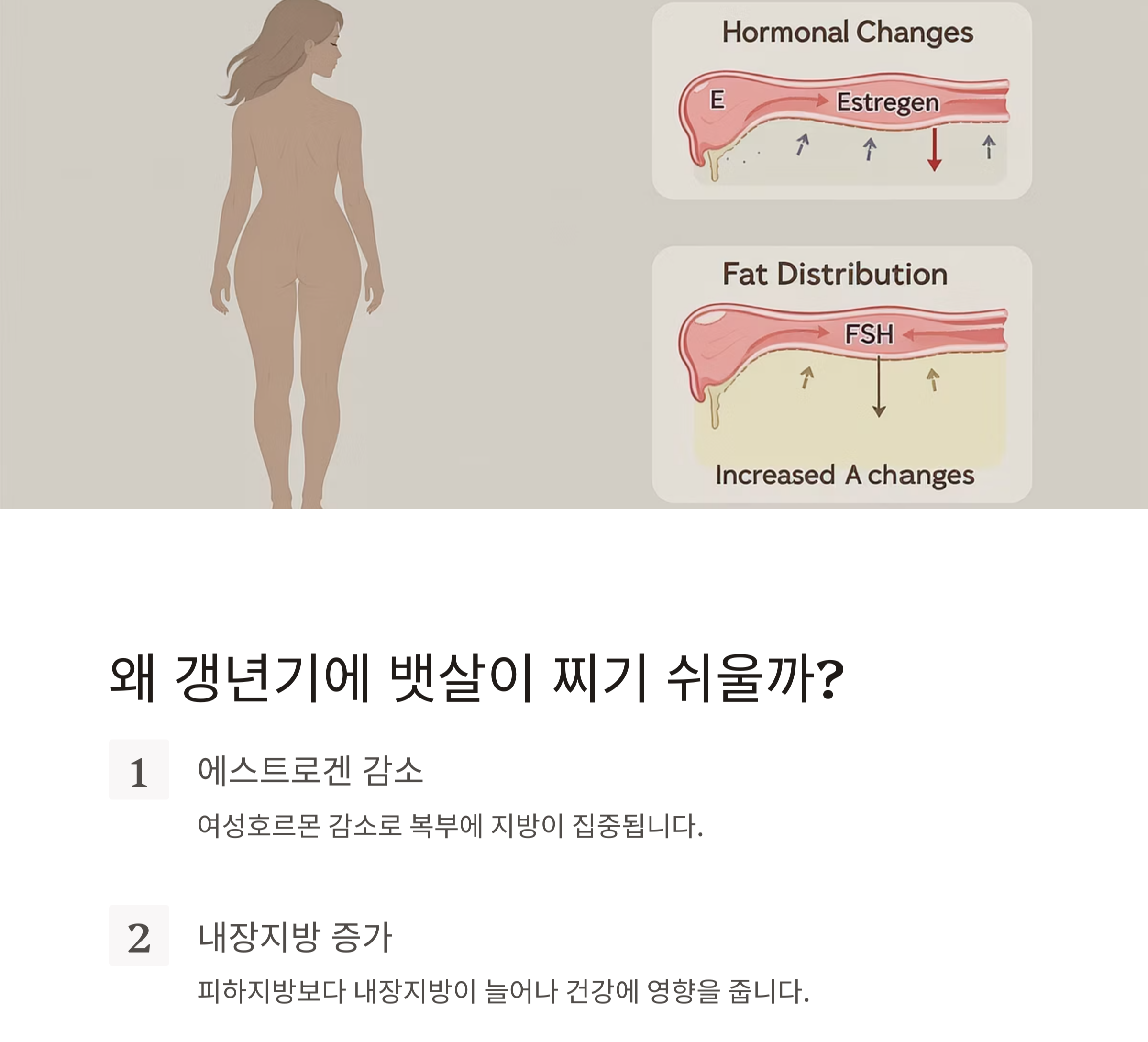 갱년기 뱃살, 정말 뺄 수 있을까? 가능한 실천법 공개