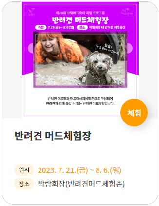 보령 머드축제 일정