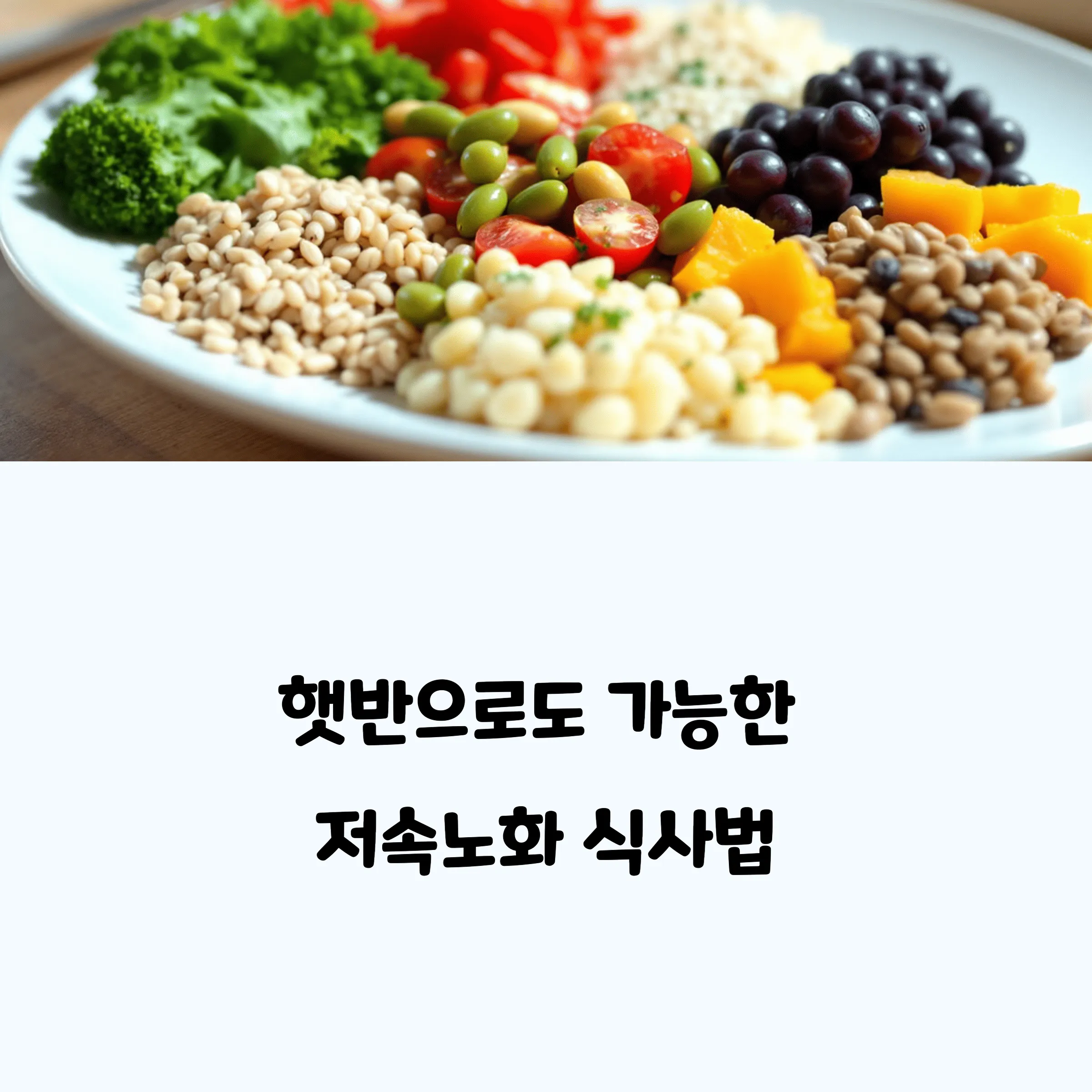 햇반으로도 가능한 저속노화 식사법