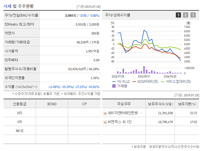 YG PLUS_기업개요
