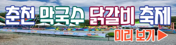 춘천 막국수 닭갈비 축제 보기