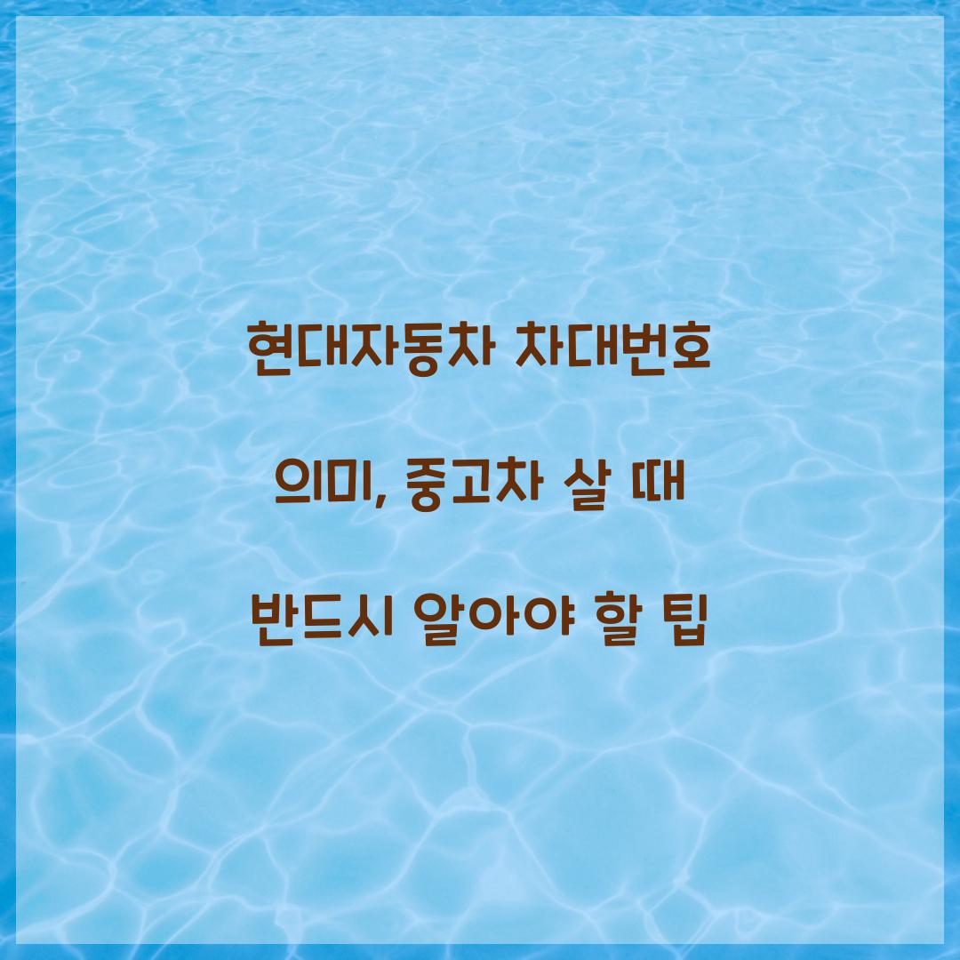 현대자동차 차대번호 의미, 중고차 살 때 반드시 알아야 할 팁