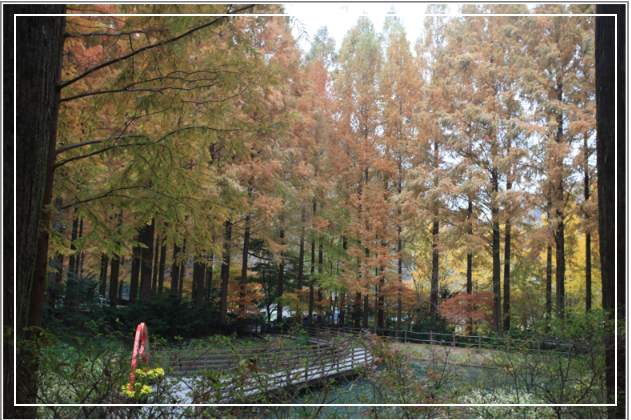 장태산 자연휴양림