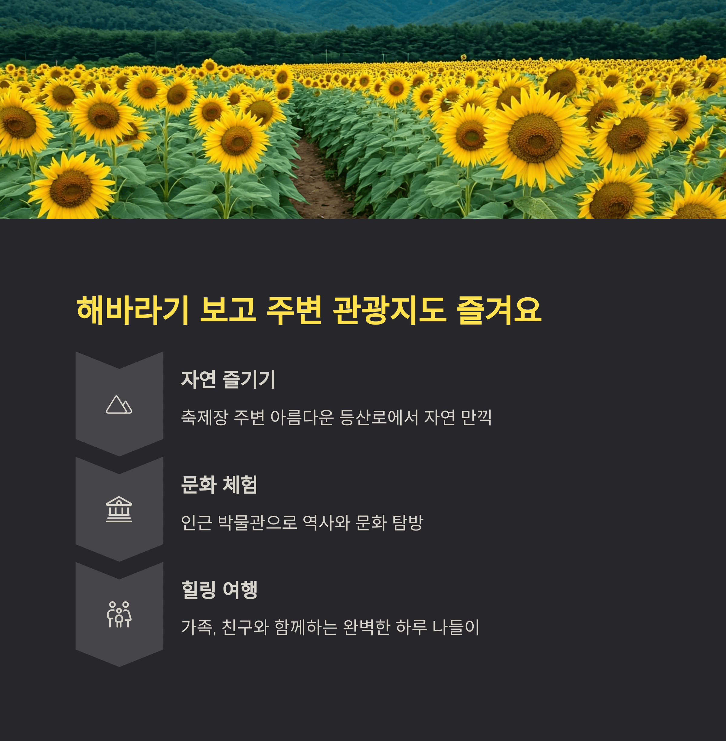 해바라기 보고 주변 관광지도 즐겨요