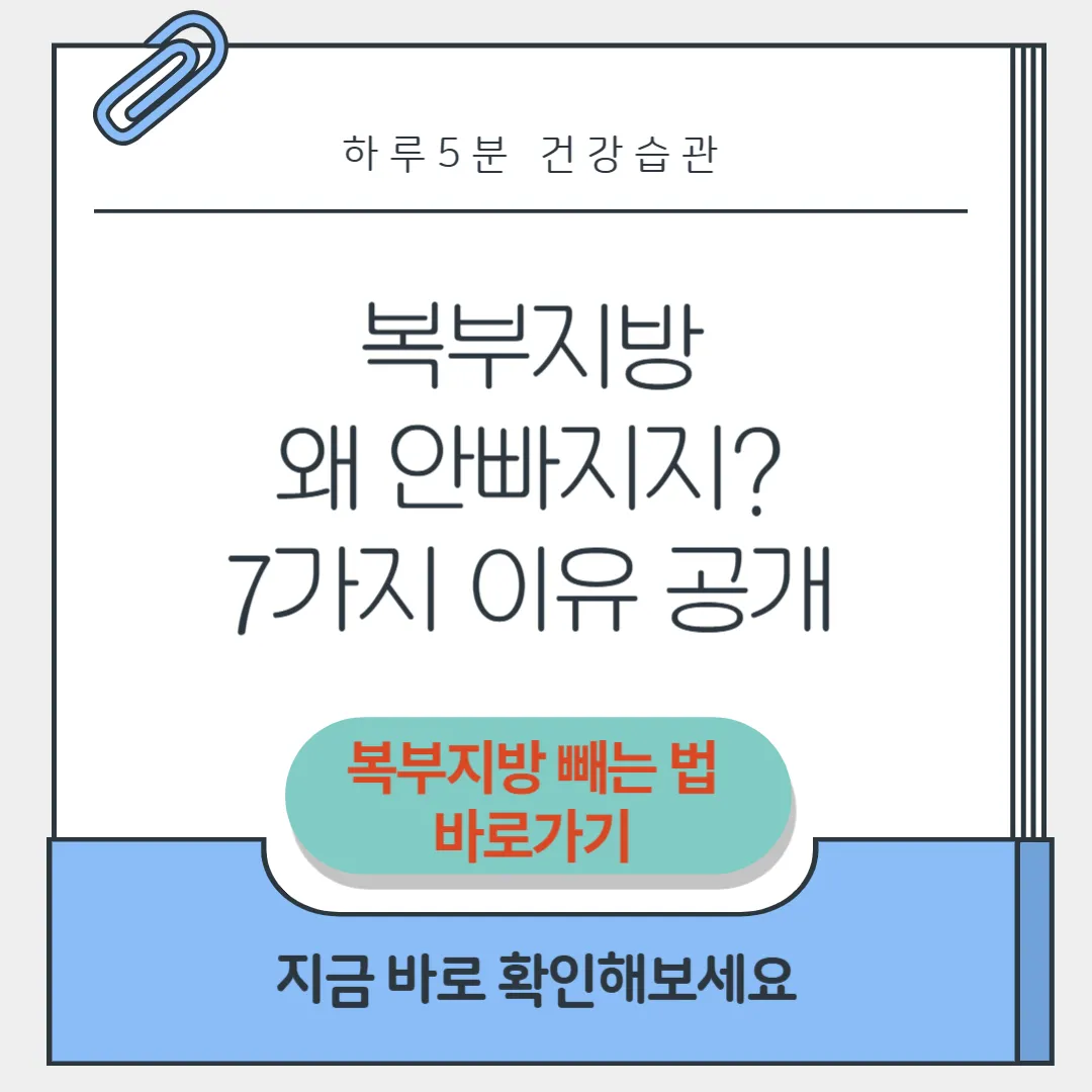 복부지방 썸네일