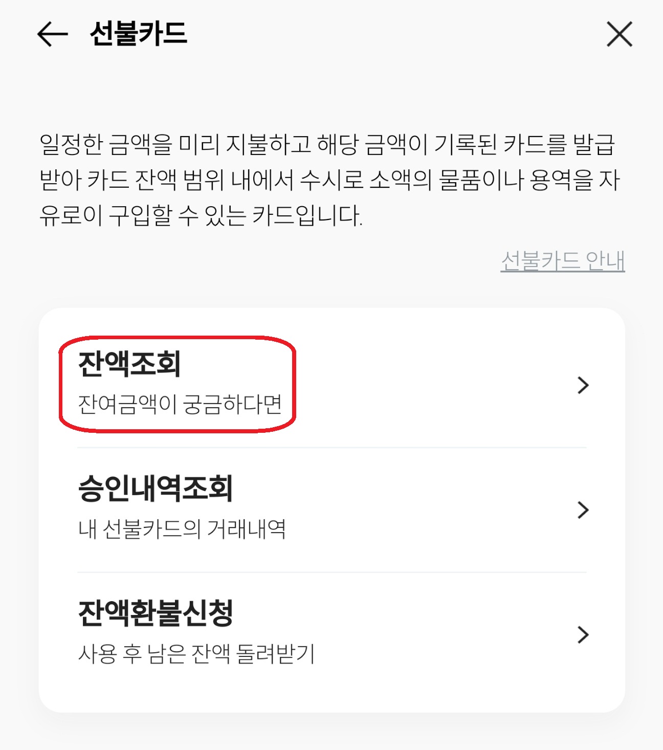 부산지역 민생지원금 잔액조회 1