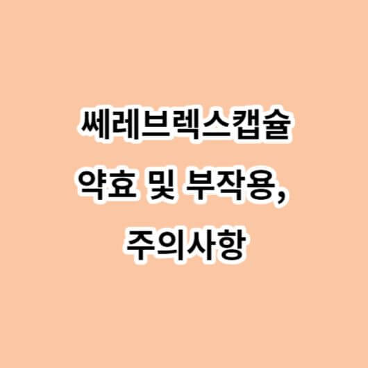 쎄레브렉스캡슐-약효-부작용-주의사항