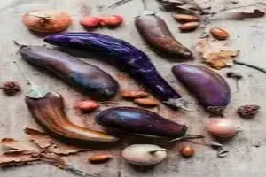 가지