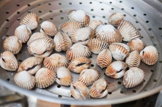 꼬막 해감쉽게하는법 (삶는 법)