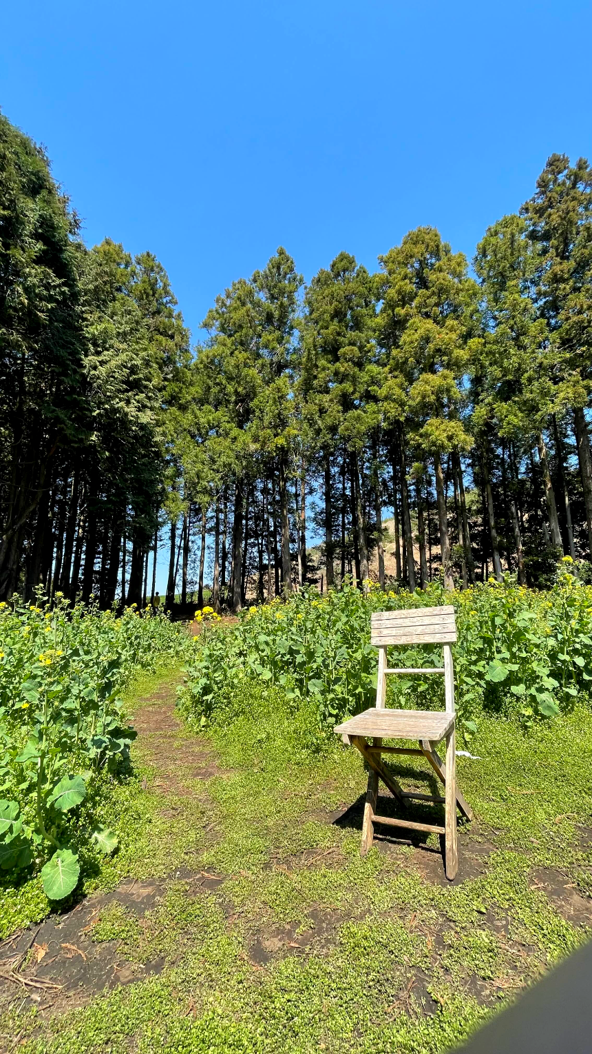 비밀의 숲 포토존2