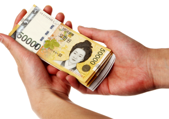 알부민주사-가격