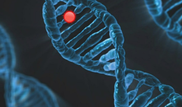 유전자 편집 기술은 어떻게 작동하는가?