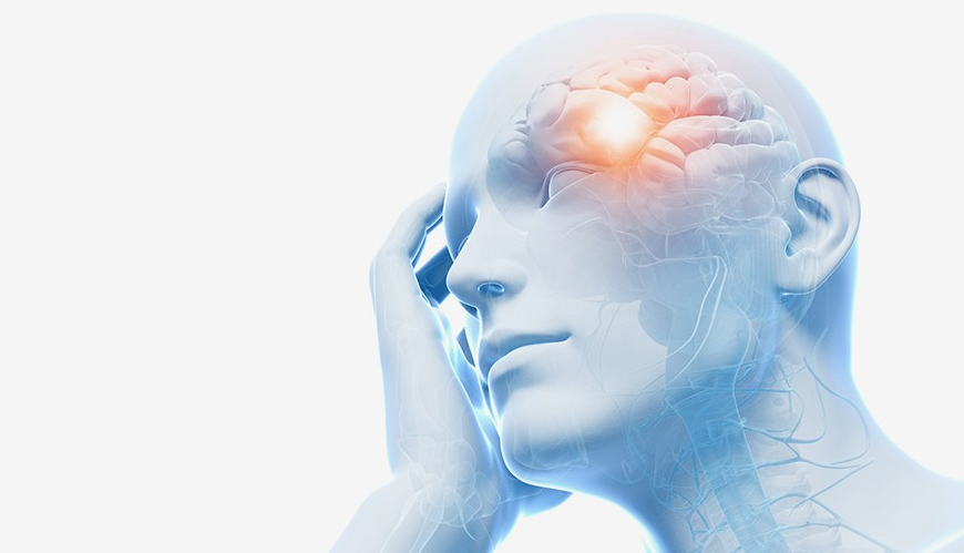 씨베리움캡슐의 작용 원리는 무엇인가요?