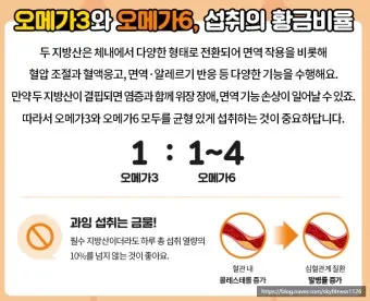 뇌건강 오메가3 DHA EP A 비율 최적화 치매 예방 완벽 가이드로 섭취비법_13