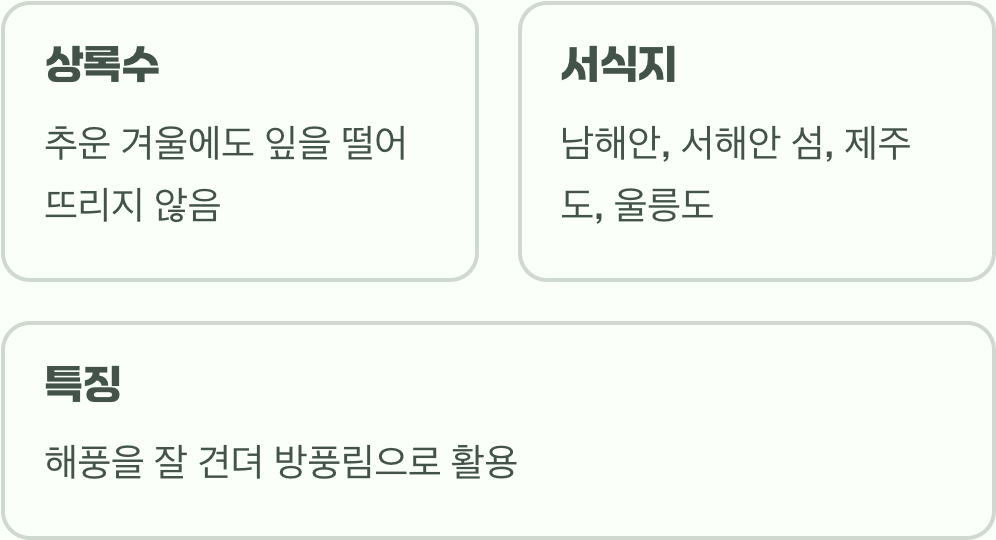 겨울에도 푸른, 남쪽의 신사
