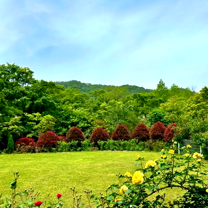 특색있고 아름다운 민간 정원 30선 추천 여행 - 08. 해남 문가든