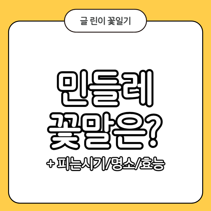 민들레 꽃말
