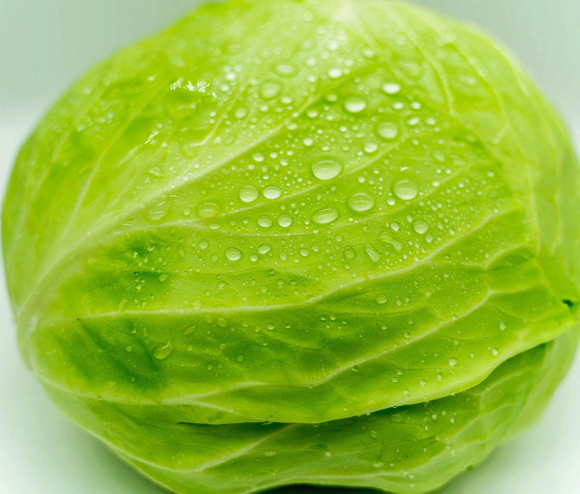 십자화과 채소 종류