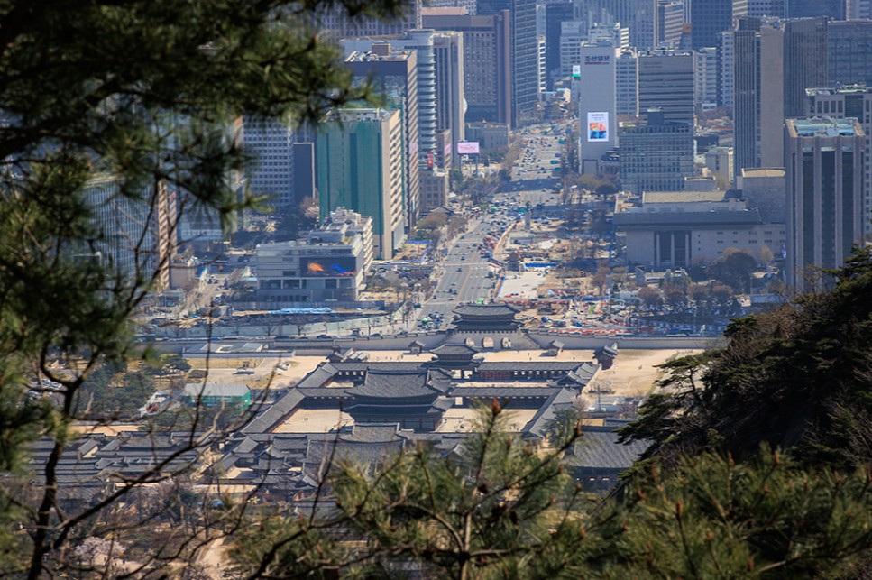 청와대 개방 예약 관람 신청 및 주차장 가는길